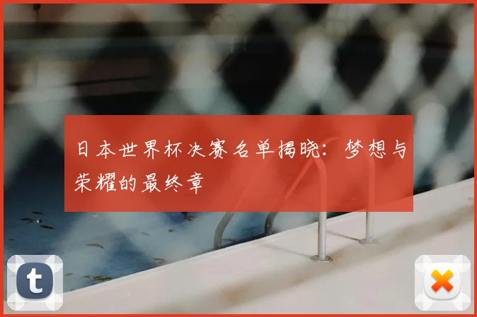 日本世界杯决赛名单揭晓：梦想与荣耀的最终章