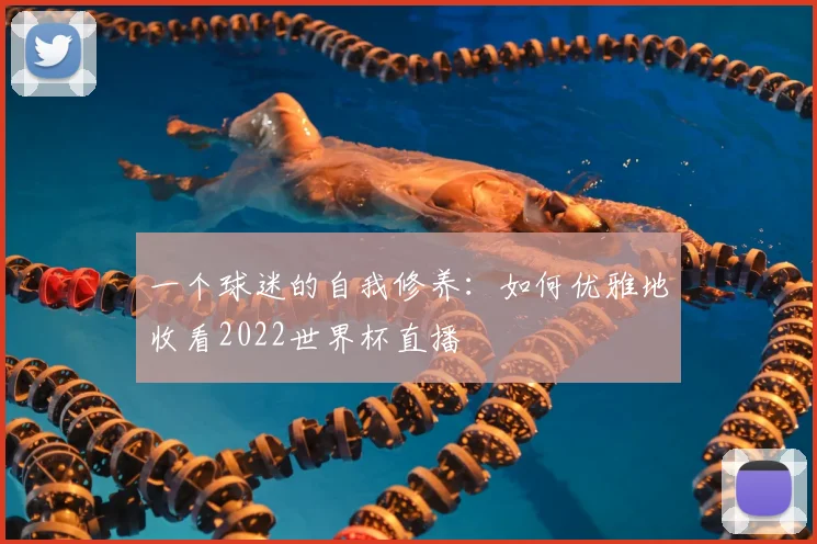 一个球迷的自我修养：如何优雅地收看2022世界杯直播