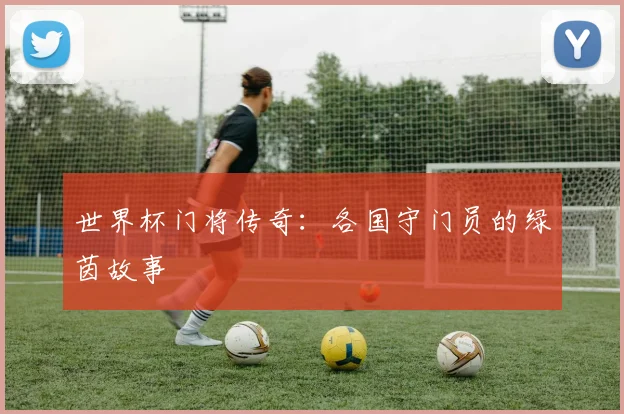 世界杯门将传奇：各国守门员的绿茵故事