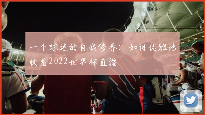 一个球迷的自我修养：如何优雅地收看2022世界杯直播