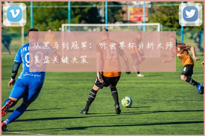 从黑马到冠军：听世界杯分析大师复盘关键决策