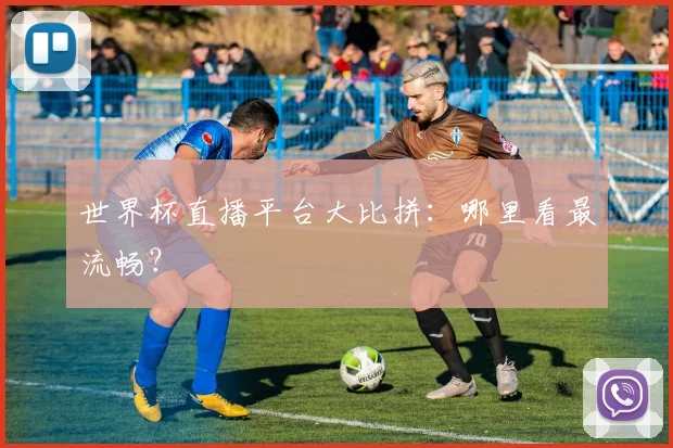 世界杯直播平台大比拼：哪里看最流畅？