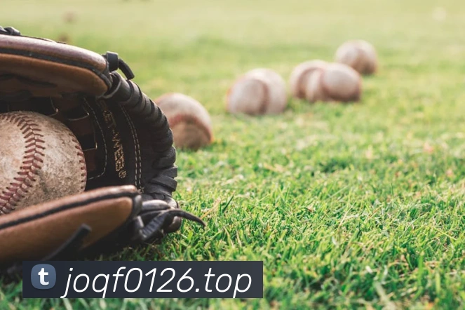 开云在线登录入口官网发展历程